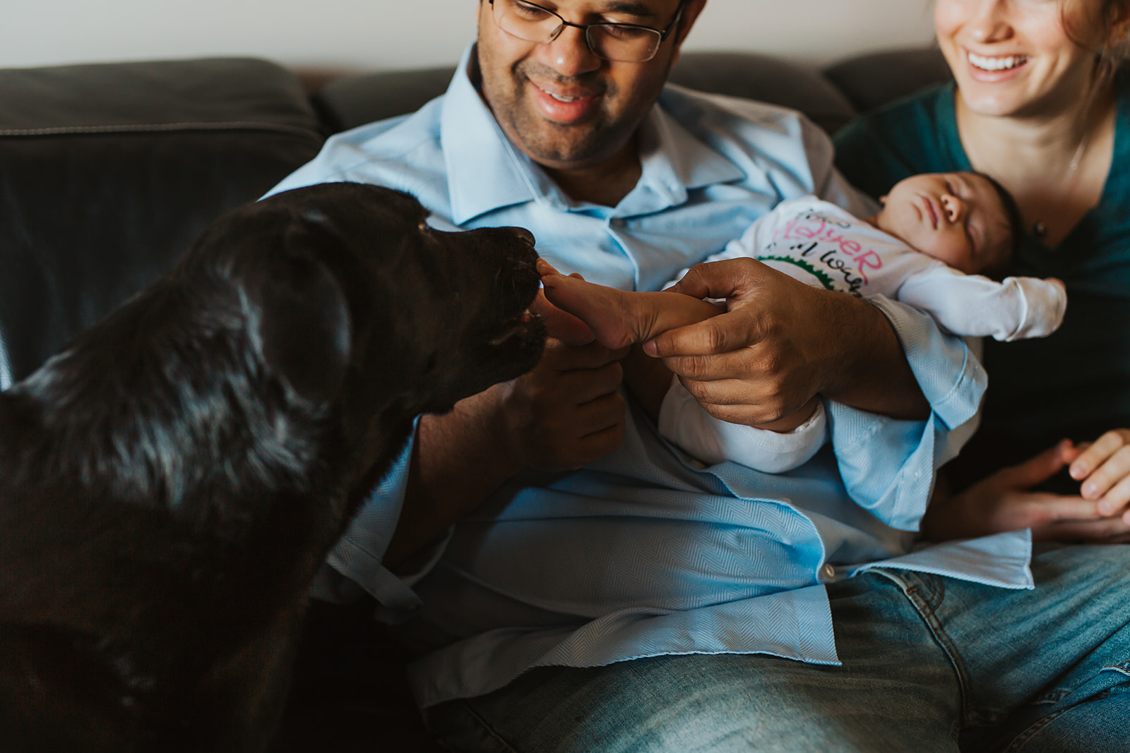 Edmonton newborn photography at home with dog