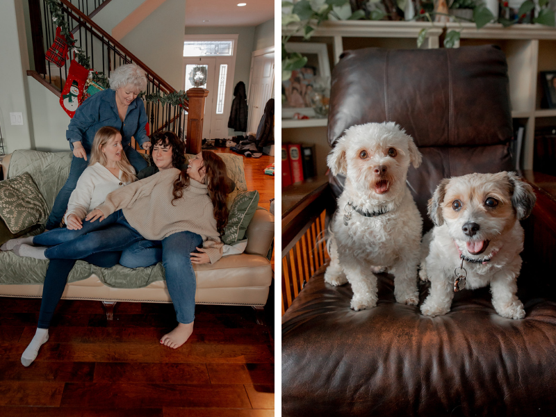 extended family photo ideas with the family dogs