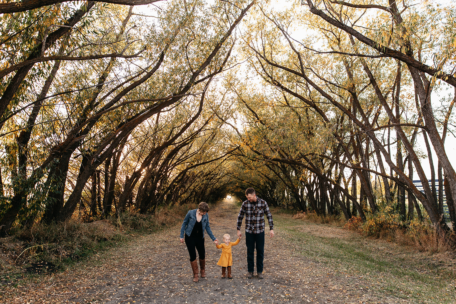 outdoor family photos during golden hour in Edmonton